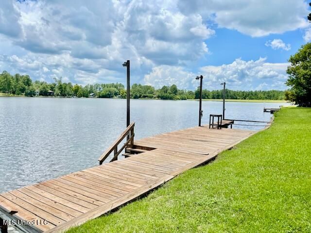 17 Holly Lane, Perkinston, MS 39573