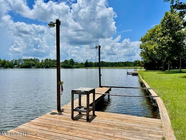17 Holly Lane, Perkinston, MS 39573