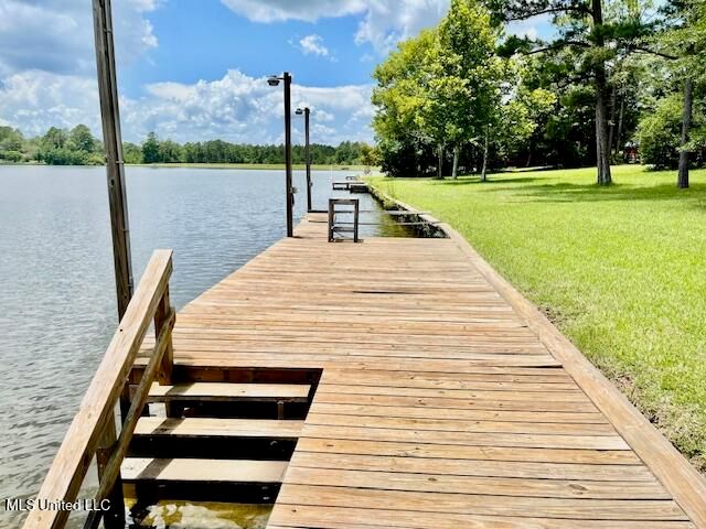 17 Holly Lane, Perkinston, MS 39573