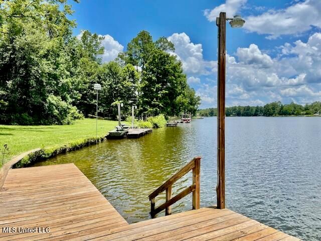 17 Holly Lane, Perkinston, MS 39573