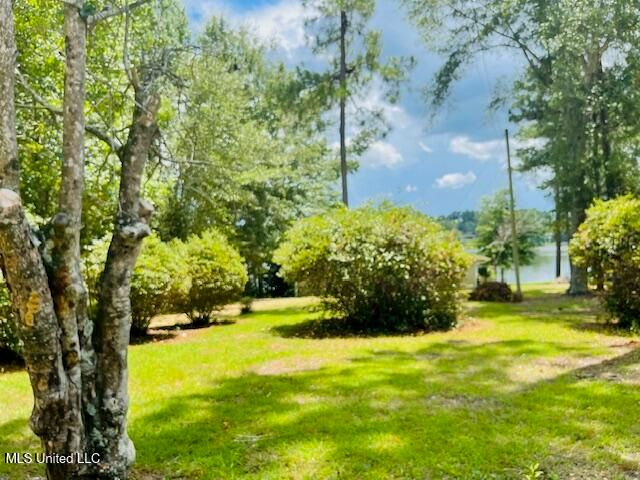 17 Holly Lane, Perkinston, MS 39573