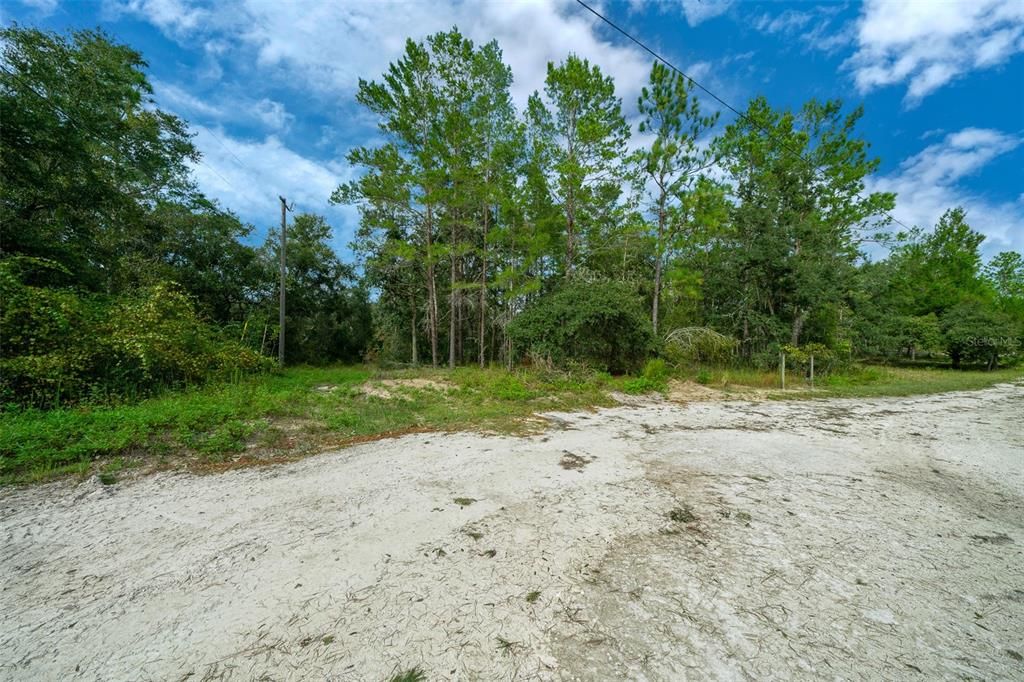 34167 BELT DRIVE, Dade City, FL 33523
