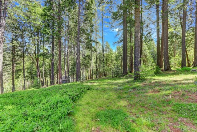 19793 Scotts Flat Rd, Nevada City, CA 95959