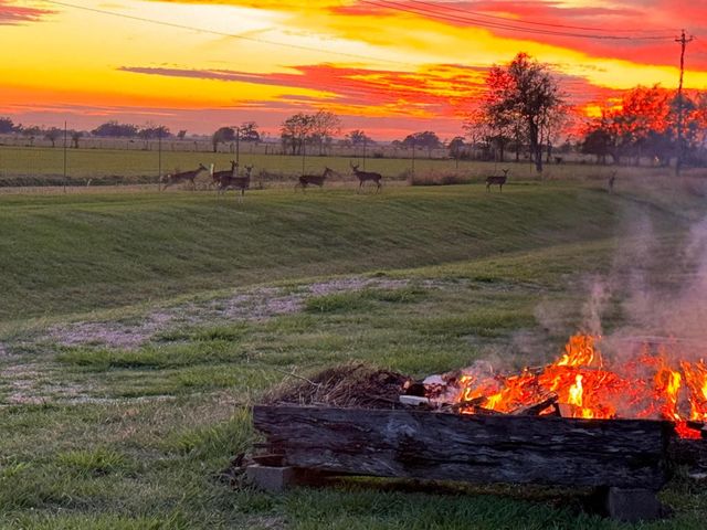 17926 Cypress Hill Drive, Rosharon, TX 77583