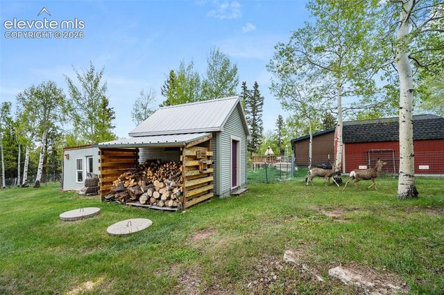 33 Maid Marian Drive, Divide, CO 80814