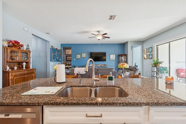 31516 CABANA RYE, San Antonio, FL 33576