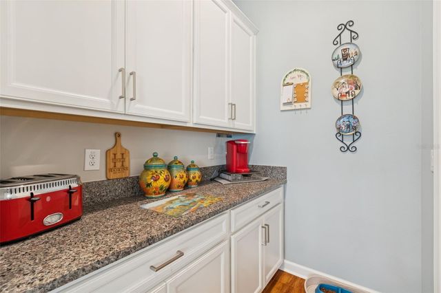 31516 CABANA RYE, San Antonio, FL 33576