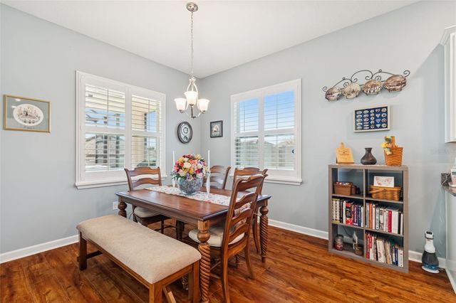 31516 CABANA RYE, San Antonio, FL 33576