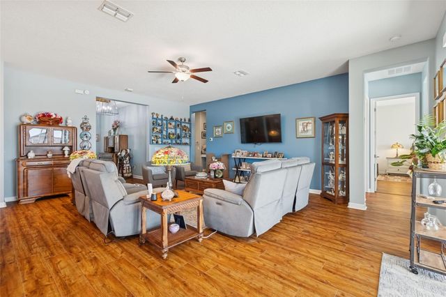 31516 CABANA RYE, San Antonio, FL 33576