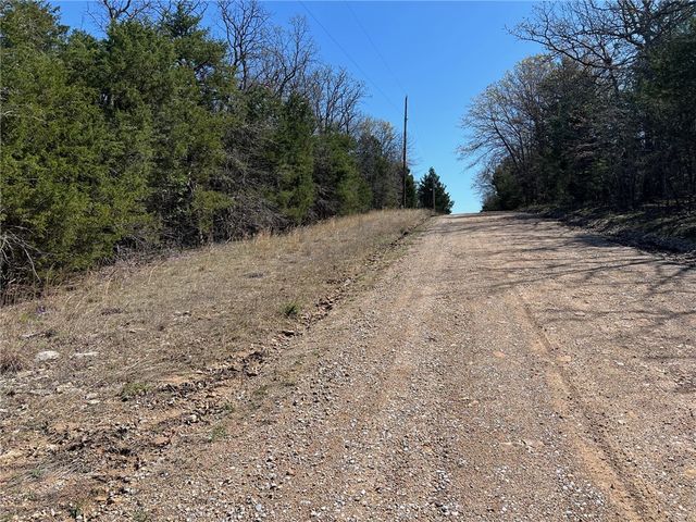 Lot 23 Elm Street, Diamond City, AR 72644