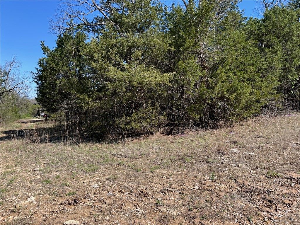 Lot 23 Elm Street, Diamond City, AR 72644