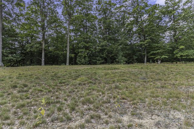 Lot 16 Pine Street, Mears, MI 49436