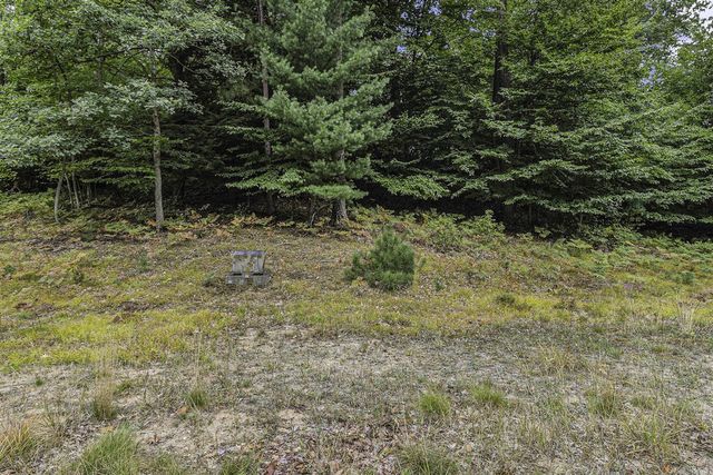 Lot 16 Pine Street, Mears, MI 49436
