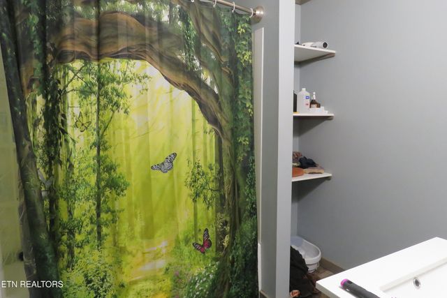 2783 Hillwood St, Monterey, TN 38574