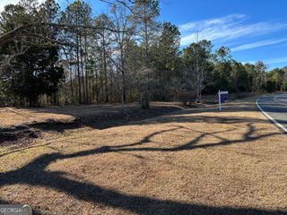 1974 Old Shiloh Road, Shiloh, GA 31826