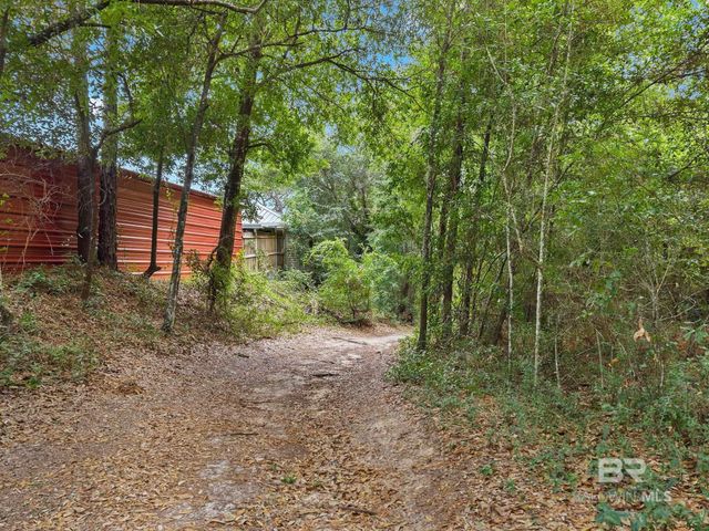 12230 County Road 99, Lillian, AL 36549