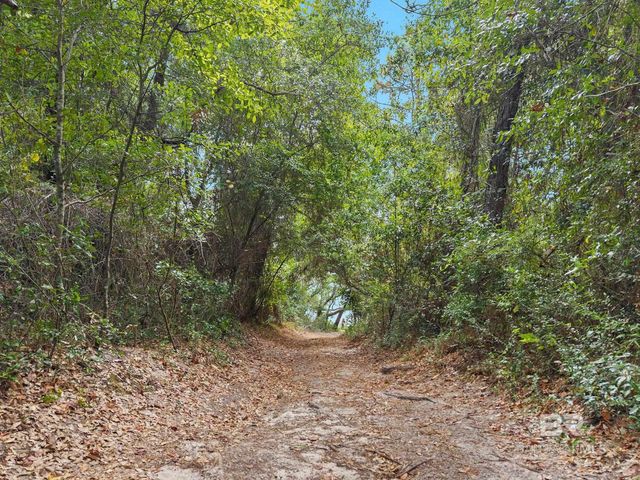 12230 County Road 99, Lillian, AL 36549