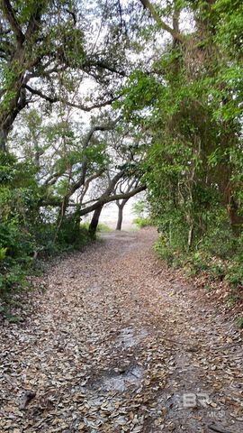 12230 County Road 99, Lillian, AL 36549