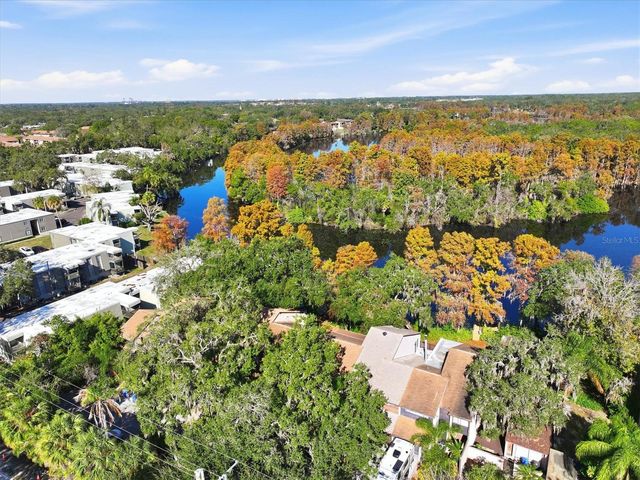 6050 RIVER TRACE ROAD, Tampa, FL 33617