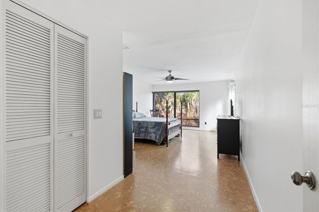 6050 RIVER TRACE ROAD, Tampa, FL 33617