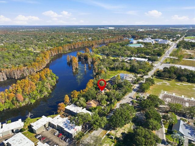 6050 RIVER TRACE ROAD, Tampa, FL 33617