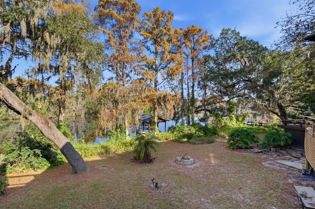 6050 RIVER TRACE ROAD, Tampa, FL 33617