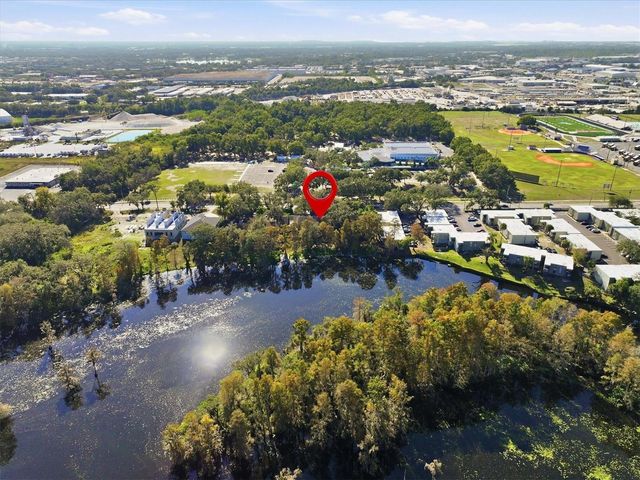 6050 RIVER TRACE ROAD, Tampa, FL 33617