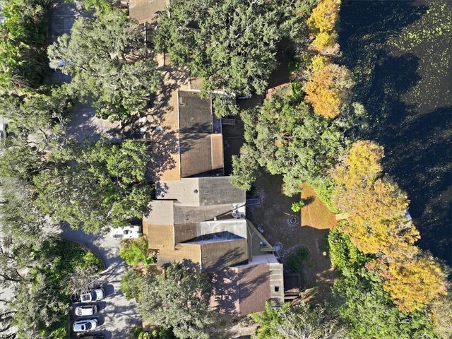 6050 RIVER TRACE ROAD, Tampa, FL 33617