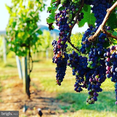 2110 QUICKSBURG RD, Quicksburg, VA 22847