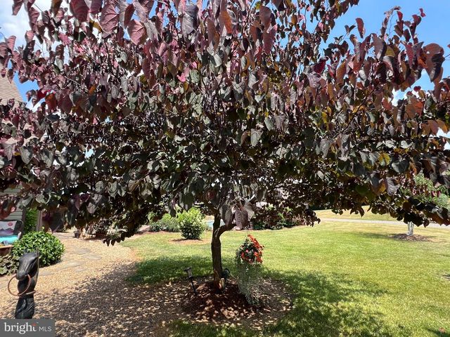 2110 QUICKSBURG RD, Quicksburg, VA 22847