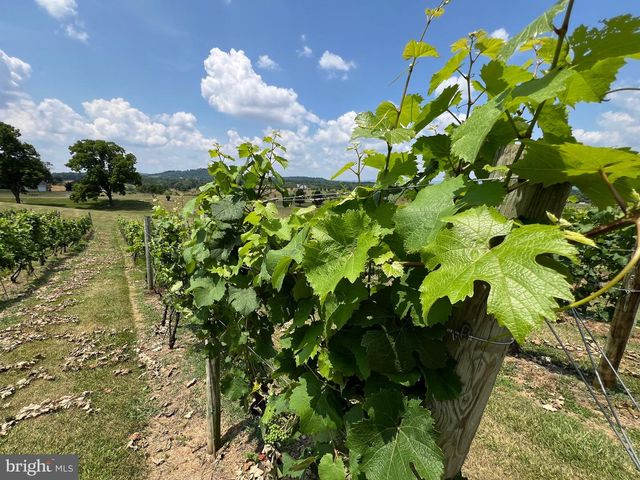 2110 QUICKSBURG RD, Quicksburg, VA 22847