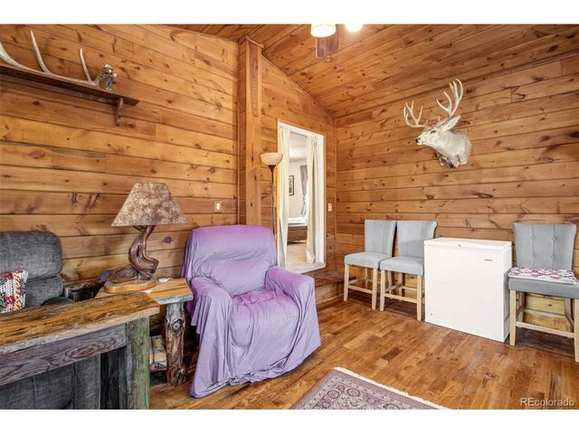 54 Georges Ln, Woodland Park, CO 80863