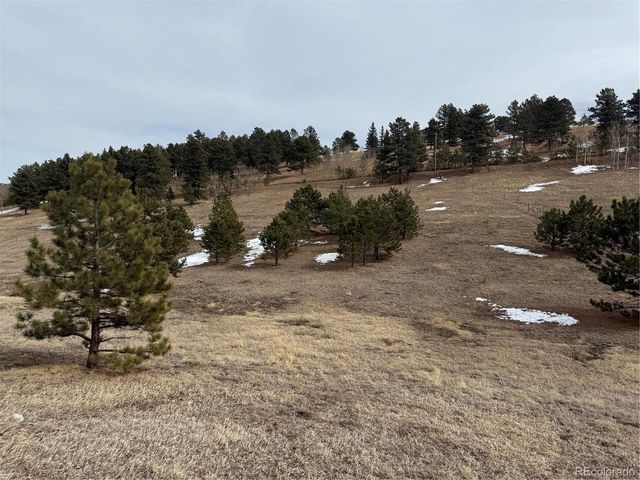 54 Georges Ln, Woodland Park, CO 80863