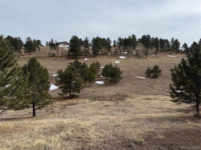 54 Georges Ln, Woodland Park, CO 80863