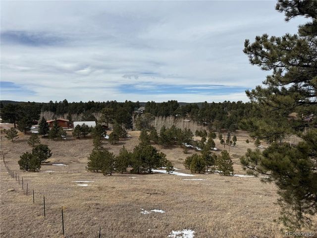 54 Georges Ln, Woodland Park, CO 80863