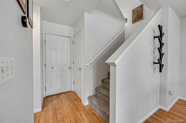 248 Habitat Circle, Windsor, CO 80550