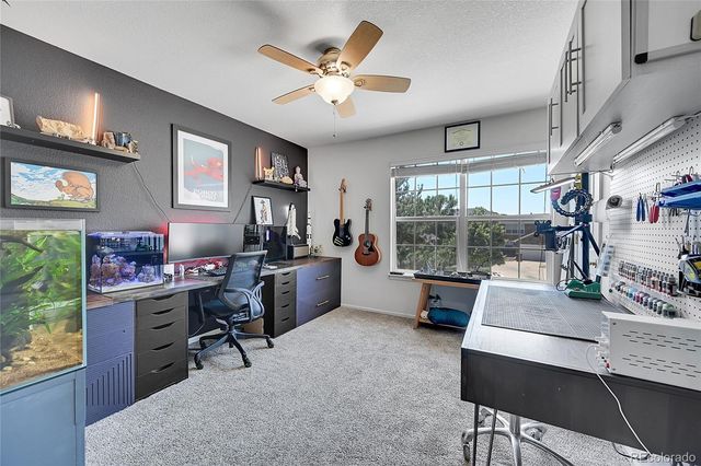 248 Habitat Circle, Windsor, CO 80550