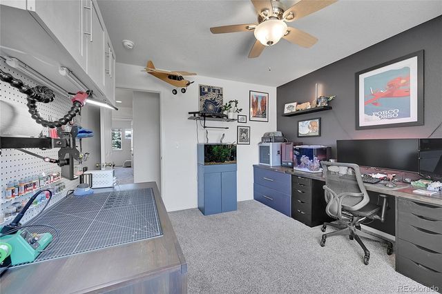 248 Habitat Circle, Windsor, CO 80550