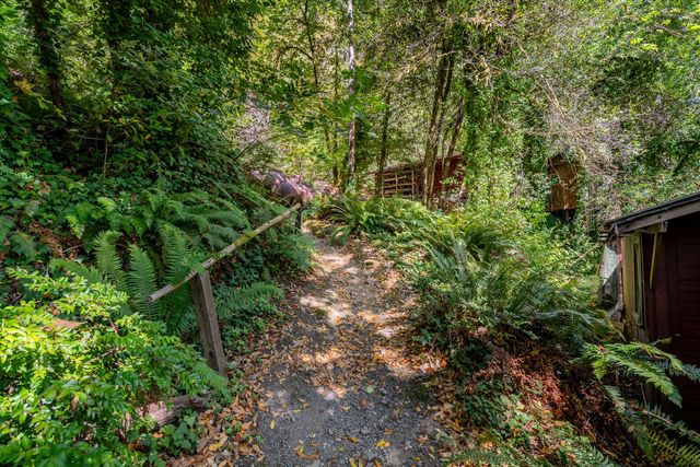 7800 Rogue River, Agness, OR 97406