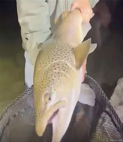 1853 County Road 33, Kremmling, CO 80459