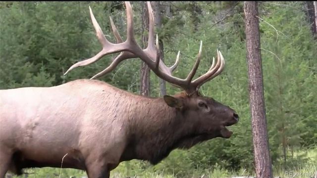 1853 County Road 33, Kremmling, CO 80459