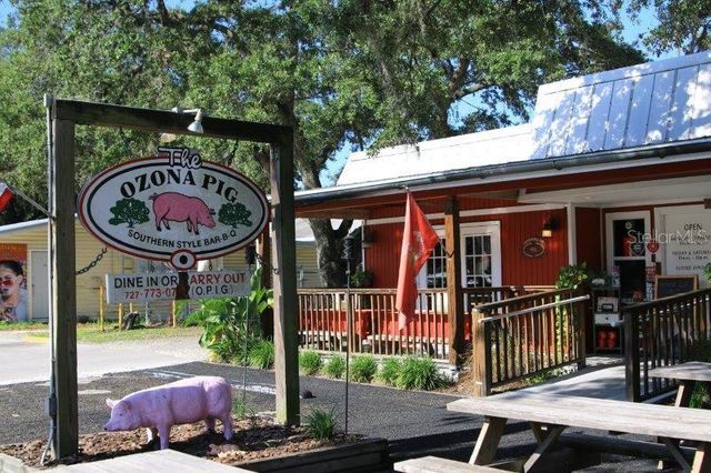 720 NATALIE LANE, Palm Harbor, FL 34683