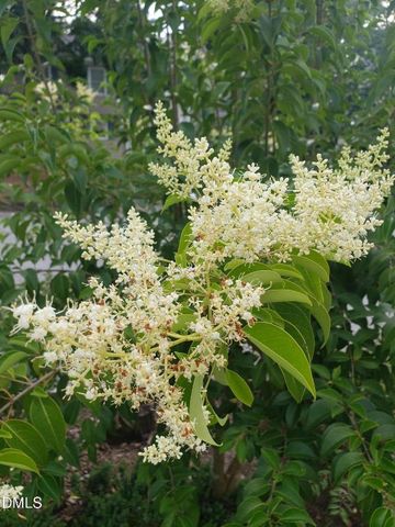 1424 Mapleside Court, Raleigh, NC 27609