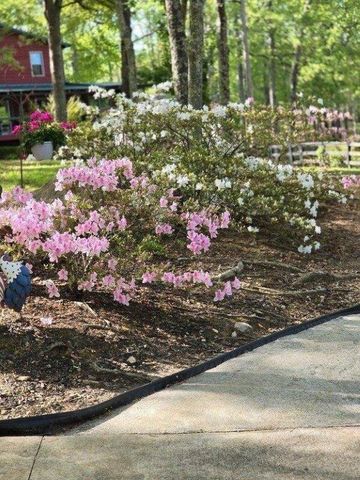 5419 Tyree Road, Winston, GA 30187