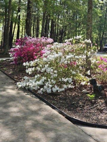 5419 Tyree Road, Winston, GA 30187