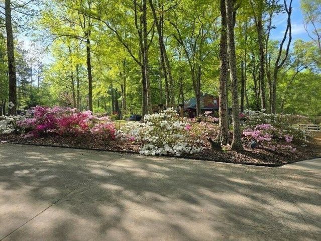 5419 Tyree Road, Winston, GA 30187