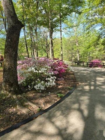 5419 Tyree Road, Winston, GA 30187