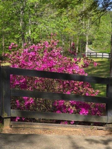 5419 Tyree Road, Winston, GA 30187