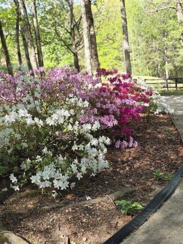 5419 Tyree Road, Winston, GA 30187