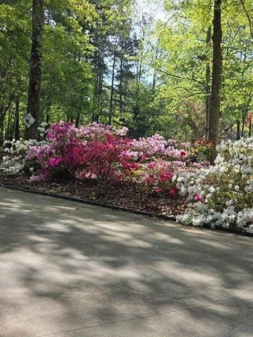 5419 Tyree Road, Winston, GA 30187